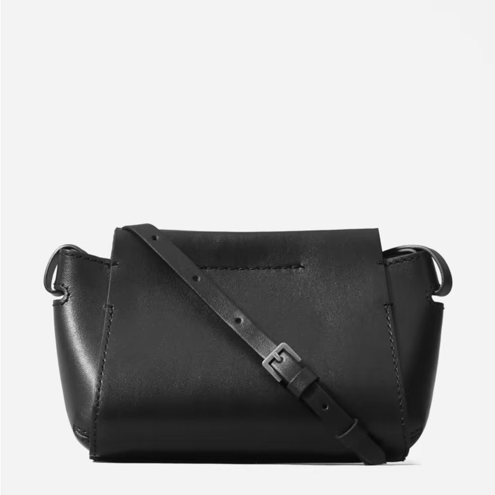 Everlane Micro Form Bag